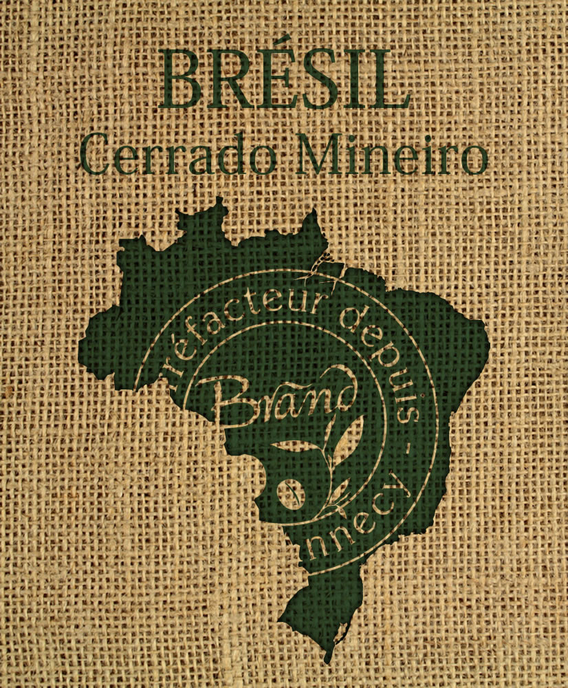 BRÉSIL, Cerrado Mineiro