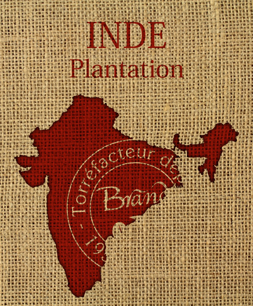 INDE, Plantation