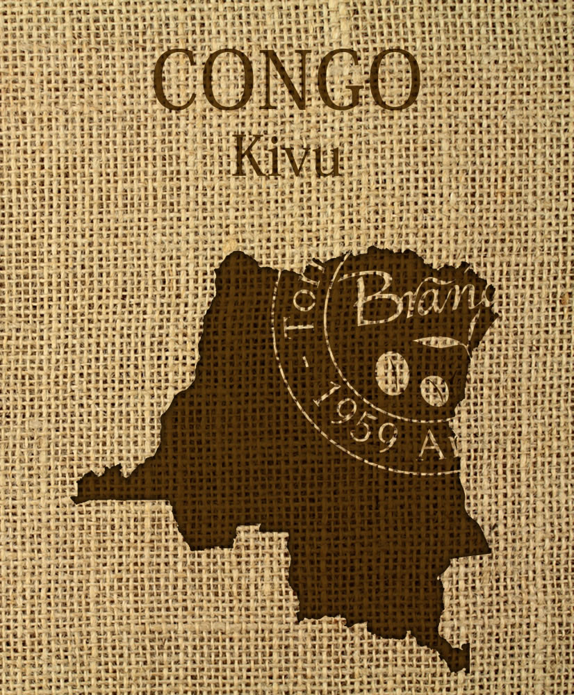 CONGO, Kivu, Bord du Lac