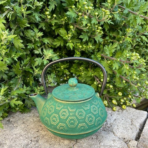 instagram-11 🌱VERT🌱

📦Arrivage de théières ! 

Venez découvrir nos différents modèles, en fonte japonaise ou chinoise, en verre et en porcelaine ! 

#teapot #the #cafesbrandannecy #annecy #annecylake #tea